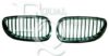 EQUAL QUALITY G0522 Radiator Grille